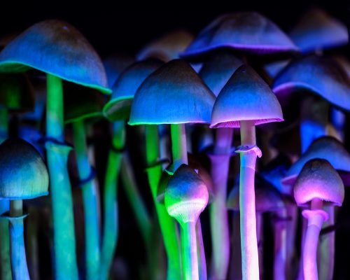 Usage of Magic Mushrooms for Depression?