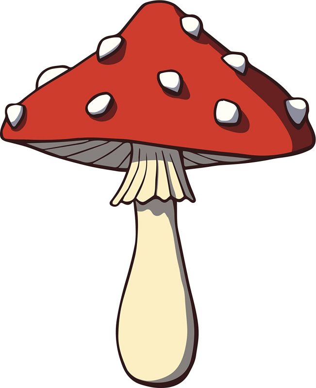 magic mushrooms safe